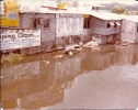 Shit River Subic 1979